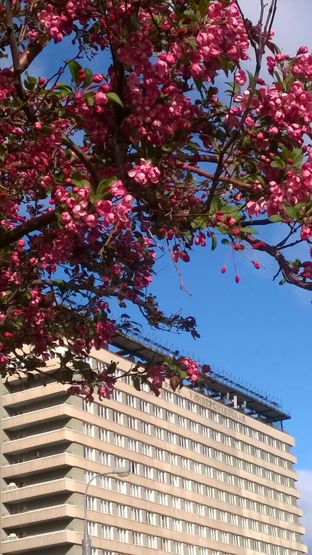 Гостиница Университетская Москва-90